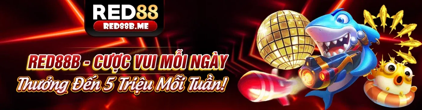 88kim App iOS – Tin Tức Mới Nhất & Cập Nhật Hàng Ngày